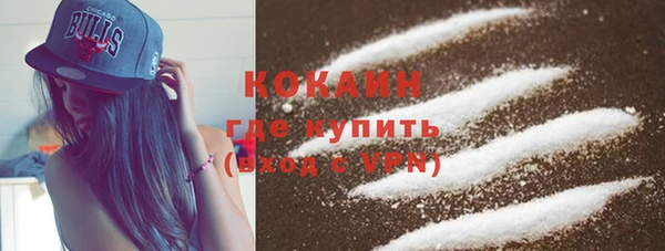 a pvp Пересвет