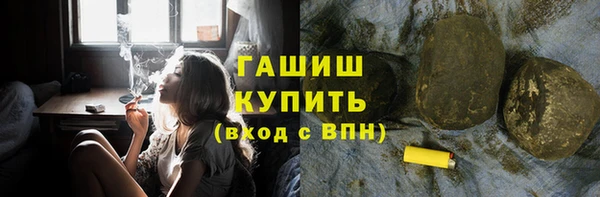 гашик Пестово