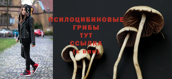 a pvp Пересвет