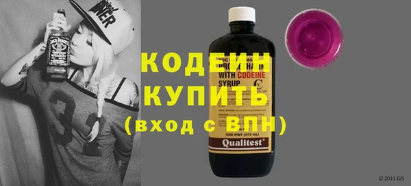 гашик Пестово