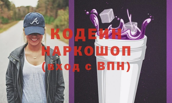 гашик Пестово