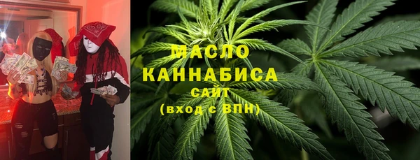 гашик Пестово