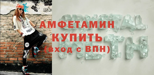 гашик Пестово