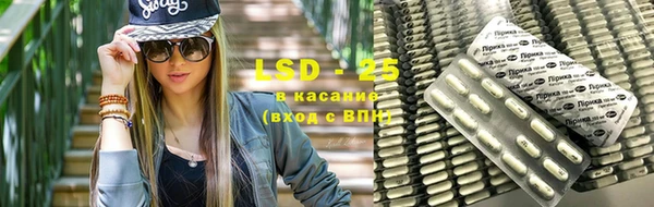 a pvp Пересвет