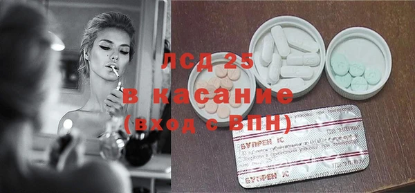 гашик Пестово
