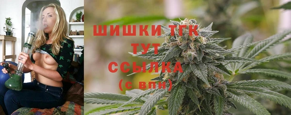 гашик Пестово