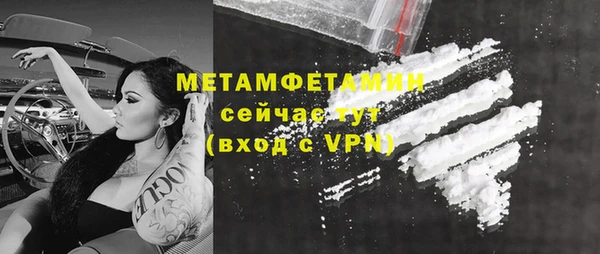 гашик Пестово