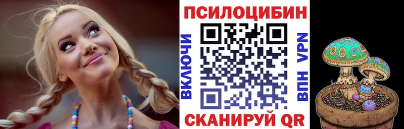 Псилоцибиновые грибы Magic Shrooms  где купить   Сельцо 